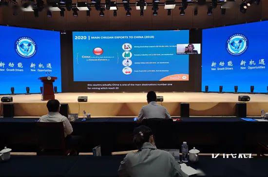 京津冀攜手共探跨境電商新路徑，線上對接會擘畫全球電商合作新藍(lán)圖